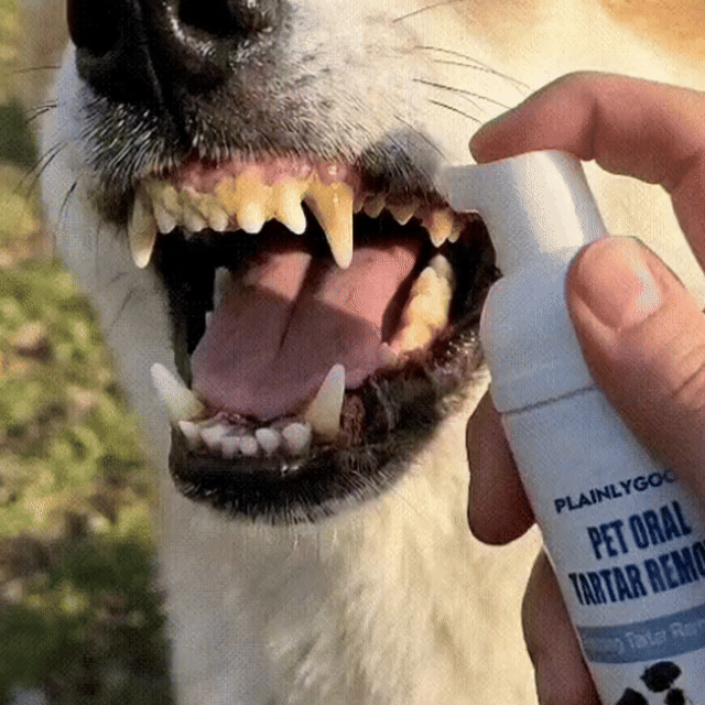 Pet Dental Tartar Care Spray