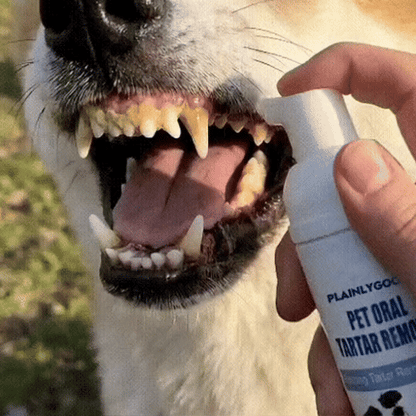Pet Dental Tartar Care Spray