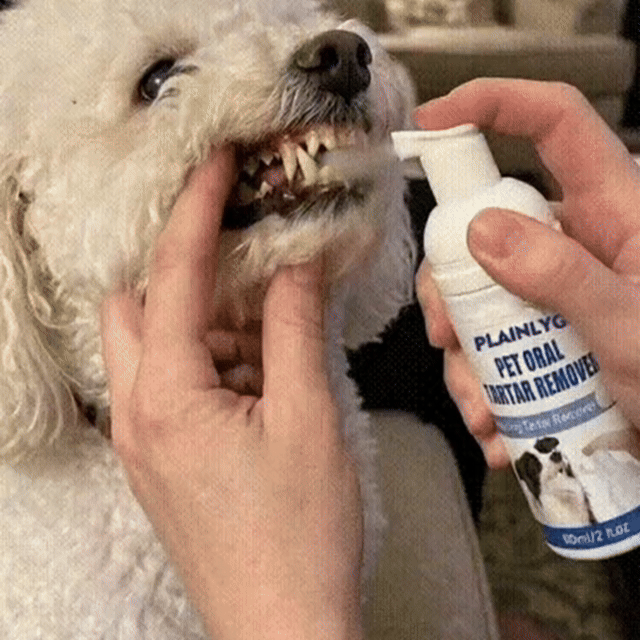 Pet Dental Tartar Care Spray