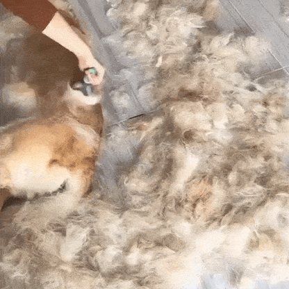 Plainlygoods Pet Pro Grooming Tool