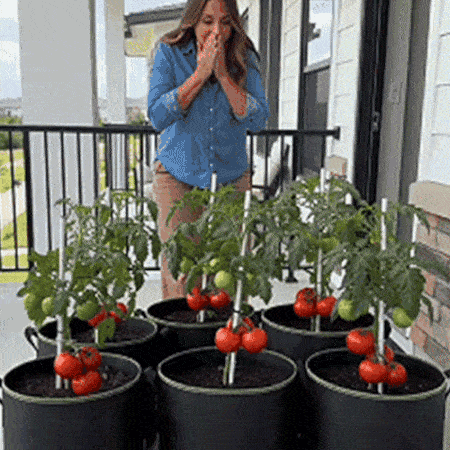 Plainlygoods 5-pack Heavy-Duty Breathable Grow Bags