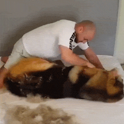 Plainlygoods Pet Pro Grooming Tool