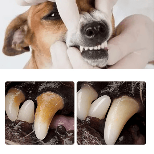 Pet Dental Tartar Care Spray