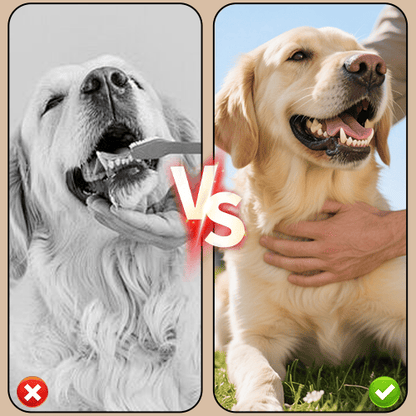 Pet Dental Tartar Care Spray