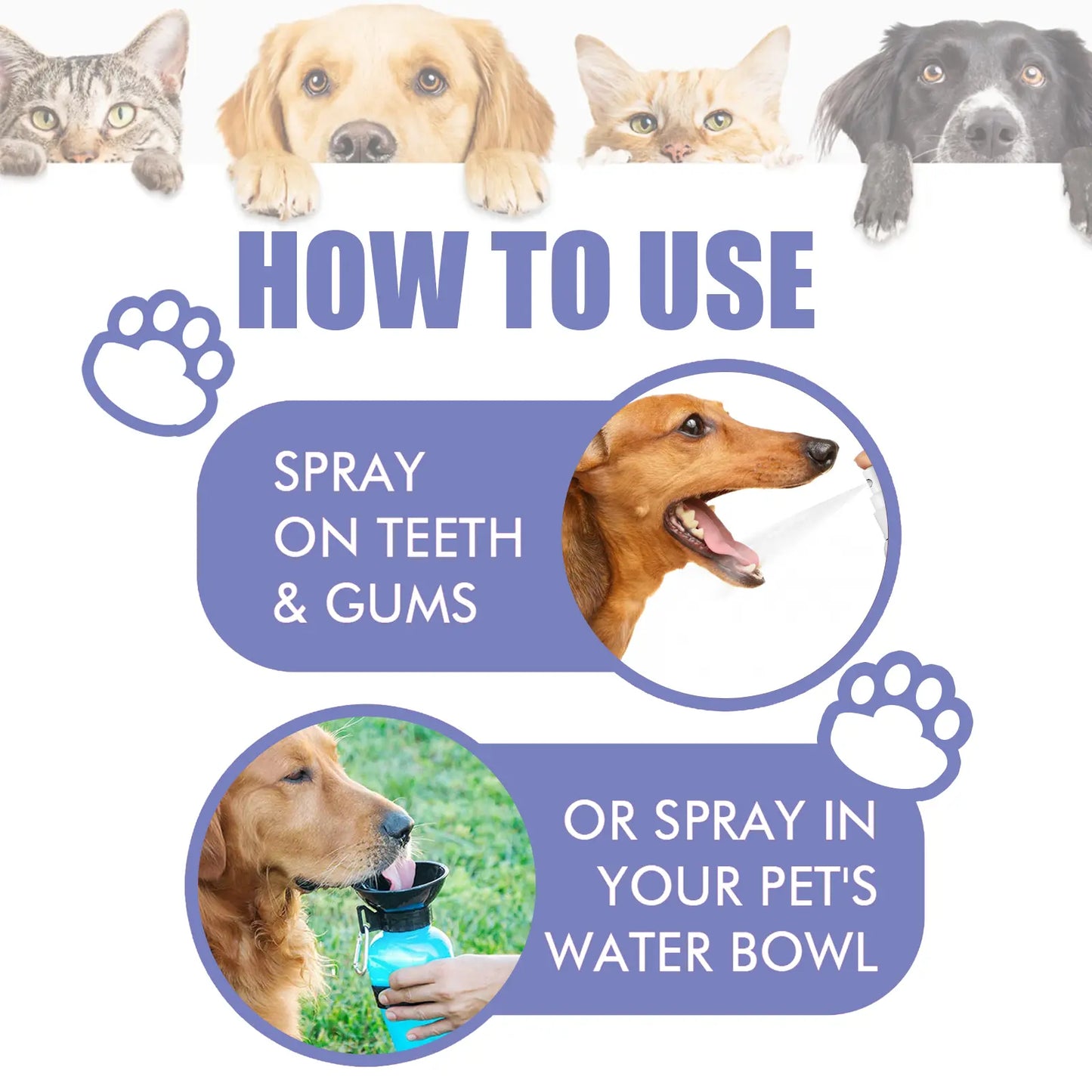 Plainlygoods™ 🍃No-Brushing Oral Care Spray for Dogs & Cats