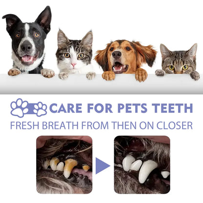 Plainlygoods™ 🍃No-Brushing Oral Care Spray for Dogs & Cats