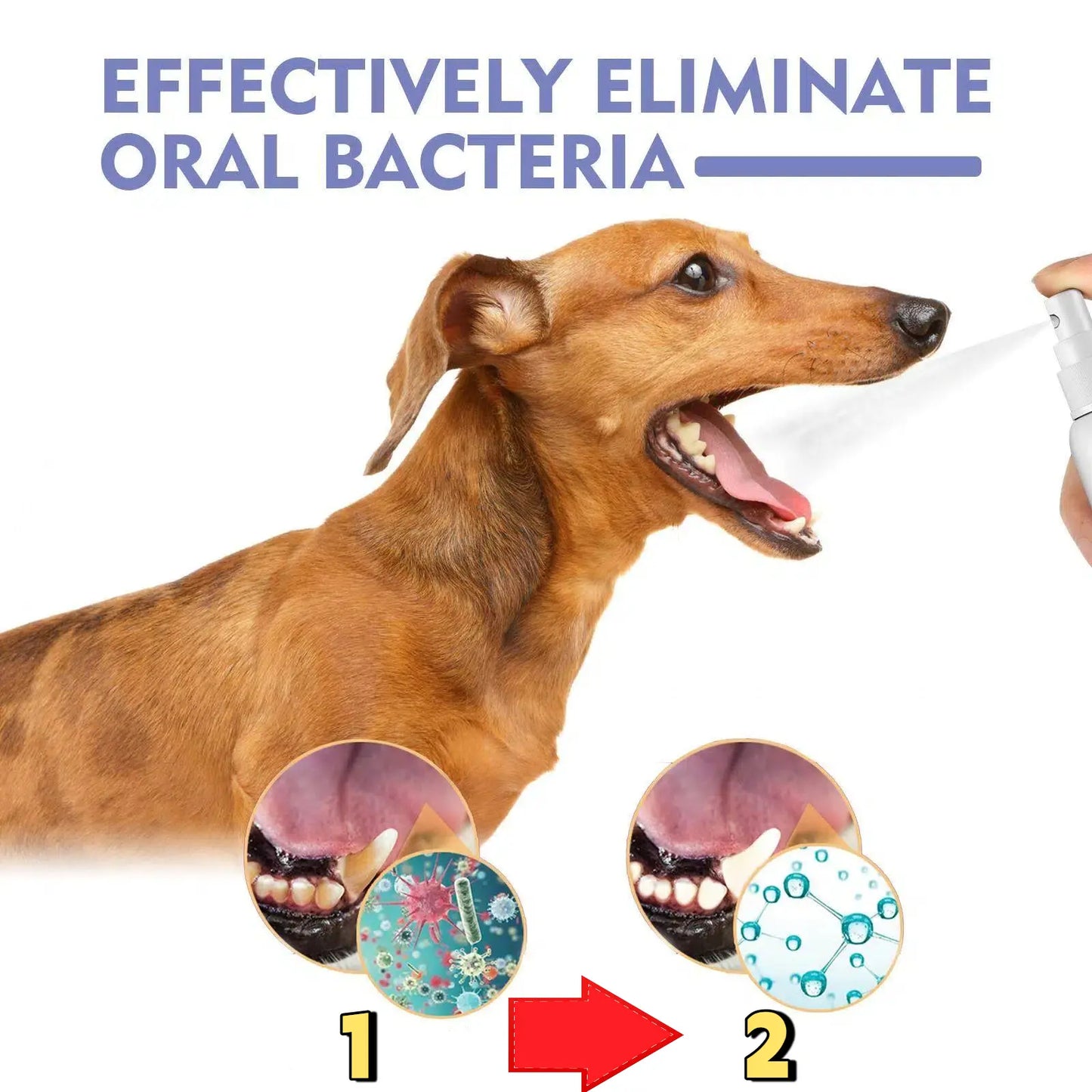 Plainlygoods™ 🍃No-Brushing Oral Care Spray for Dogs & Cats
