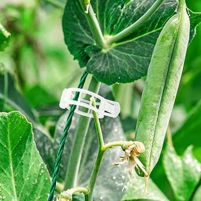 Plant Support Clips