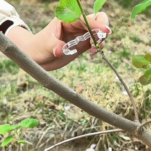 Plant Support Clips